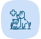 Puppy & Kitten Care